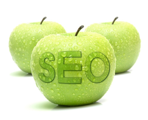 search engine optimization