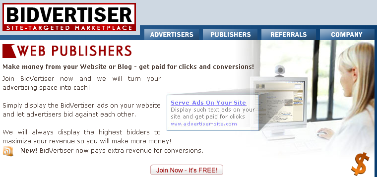 Make Money From Your Blog/ Website With Bidvertiser: Best Adsense Alternative