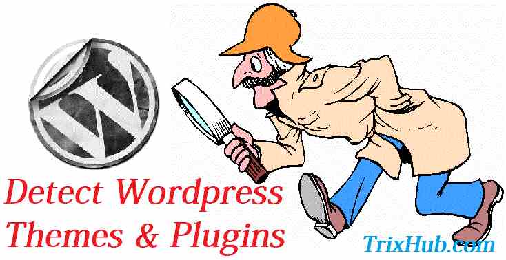 How to Detect WordPress Theme and Plugins in Competitor Site